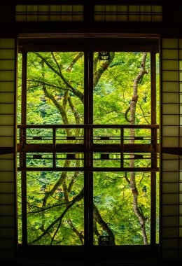 Japonya, Arashiyama Kyoto 'da çiçeklerle Japon bahçe manzarası. Yüksek kalite fotoğraf