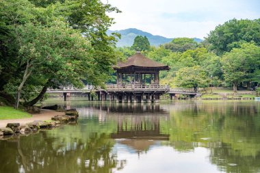 Japonya, Nara 'daki göletli ve geyikli Nara Parkı. Yüksek kalite fotoğraf