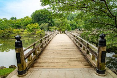 Japonya, Nara 'daki göletli ve geyikli Nara Parkı. Yüksek kalite fotoğraf