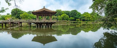 Japonya, Nara 'daki göletli ve geyikli Nara Parkı. Yüksek kalite fotoğraf