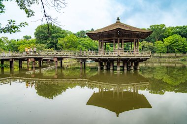 Japonya, Nara 'daki göletli ve geyikli Nara Parkı. Yüksek kalite fotoğraf