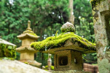 Japonya, Wakayama 'daki Okunoin Mezarlığı. Yüksek kalite fotoğraf