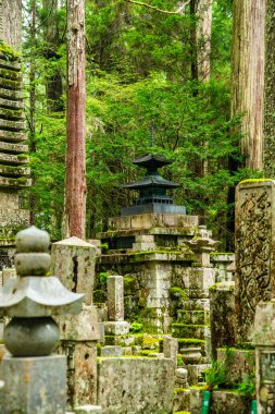 Okunoin Cemetery in Wakayama, Japan. High quality photo clipart