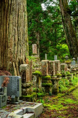 Japonya, Wakayama 'daki Okunoin Mezarlığı. Yüksek kalite fotoğraf