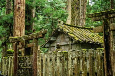 Japonya, Wakayama 'daki Okunoin Mezarlığı. Yüksek kalite fotoğraf