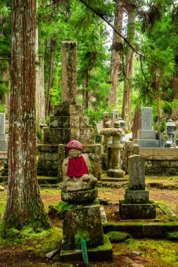 Japonya, Wakayama 'daki Okunoin Mezarlığı. Yüksek kalite fotoğraf