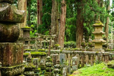 Japonya, Wakayama 'daki Okunoin Mezarlığı. Yüksek kalite fotoğraf