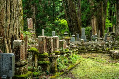 Japonya, Wakayama 'daki Okunoin Mezarlığı. Yüksek kalite fotoğraf