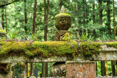 Japonya, Wakayama 'daki Okunoin Mezarlığı. Yüksek kalite fotoğraf