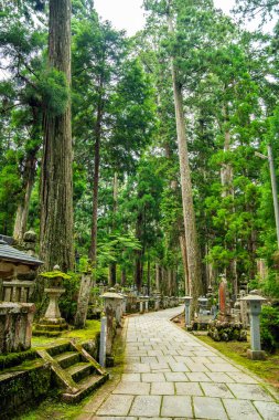 Japonya, Wakayama 'daki Okunoin Mezarlığı. Yüksek kalite fotoğraf
