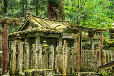 Japonya, Wakayama 'daki Okunoin Mezarlığı. Yüksek kalite fotoğraf