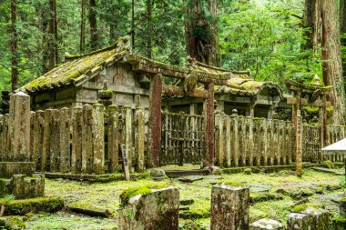 Japonya, Wakayama 'daki Okunoin Mezarlığı. Yüksek kalite fotoğraf