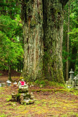 Japonya, Wakayama 'daki Okunoin Mezarlığı. Yüksek kalite fotoğraf