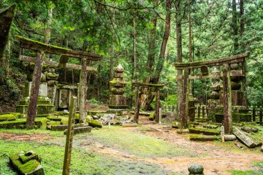 Japonya, Wakayama 'daki Okunoin Mezarlığı. Yüksek kalite fotoğraf