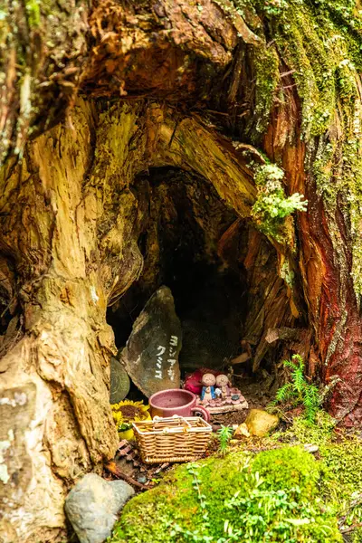 stock image Okunoin Cemetery in Wakayama, Japan. High quality photo