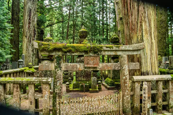 Japonya, Wakayama 'daki Okunoin Mezarlığı. Yüksek kalite fotoğraf