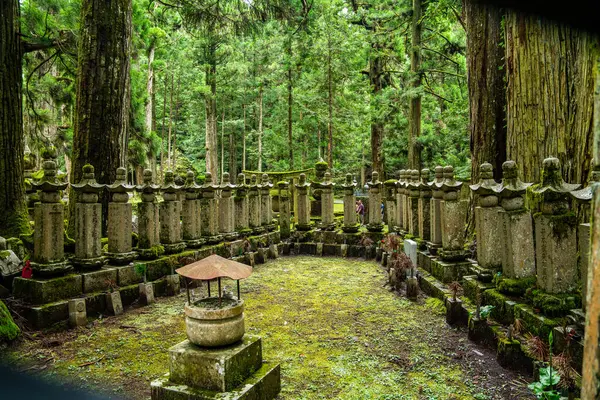 Japonya, Wakayama 'daki Okunoin Mezarlığı. Yüksek kalite fotoğraf