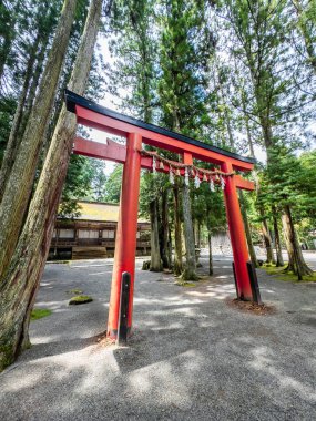 Koya 'daki Kongobu-ji tapınağı, Ito Bölgesi, Wakayama, Japonya. Yüksek kalite fotoğraf