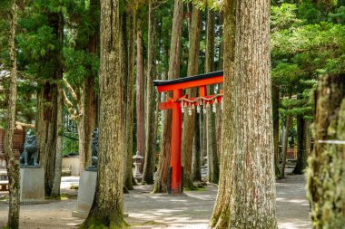 Koya 'daki Kongobu-ji tapınağı, Ito Bölgesi, Wakayama, Japonya. Yüksek kalite fotoğraf