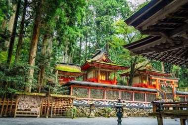 Koya 'daki Kongobu-ji tapınağı, Ito Bölgesi, Wakayama, Japonya. Yüksek kalite fotoğraf