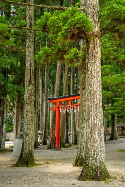 Koya 'daki Kongobu-ji tapınağı, Ito Bölgesi, Wakayama, Japonya. Yüksek kalite fotoğraf