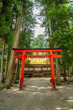 Koya 'daki Kongobu-ji tapınağı, Ito Bölgesi, Wakayama, Japonya. Yüksek kalite fotoğraf