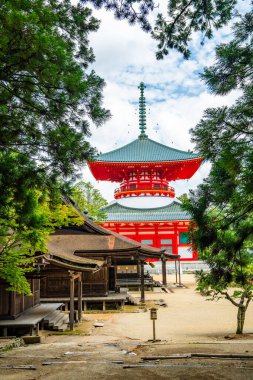 Koya 'daki Kongobu-ji tapınağı, Ito Bölgesi, Wakayama, Japonya. Yüksek kalite fotoğraf
