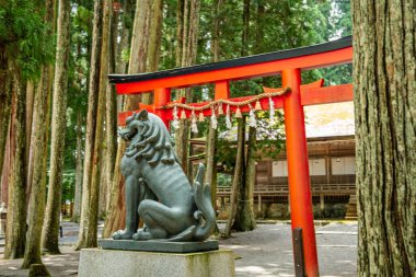 Koya 'daki Kongobu-ji tapınağı, Ito Bölgesi, Wakayama, Japonya. Yüksek kalite fotoğraf