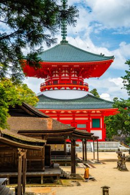 Koya 'daki Kongobu-ji tapınağı, Ito Bölgesi, Wakayama, Japonya. Yüksek kalite fotoğraf