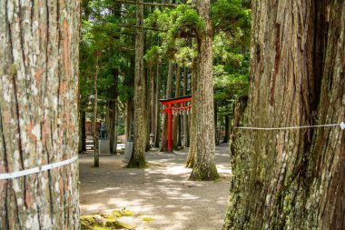 Koya 'daki Kongobu-ji tapınağı, Ito Bölgesi, Wakayama, Japonya. Yüksek kalite fotoğraf