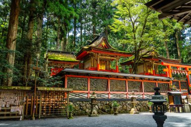 Koya 'daki Kongobu-ji tapınağı, Ito Bölgesi, Wakayama, Japonya. Yüksek kalite fotoğraf