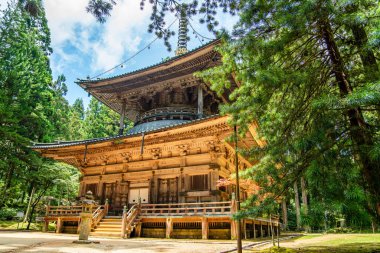 Koya 'daki Kongobu-ji tapınağı, Ito Bölgesi, Wakayama, Japonya. Yüksek kalite fotoğraf