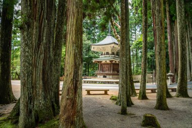 Koya 'daki Kongobu-ji tapınağı, Ito Bölgesi, Wakayama, Japonya. Yüksek kalite fotoğraf