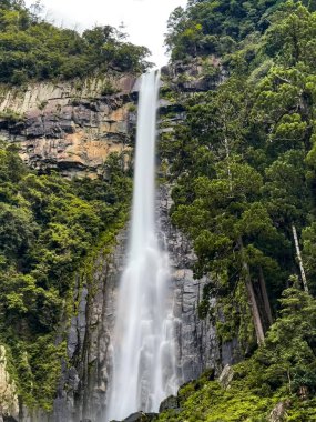 Higashimuro Bölgesi, Wakayama, Japonya 'da Nachi şelalesi