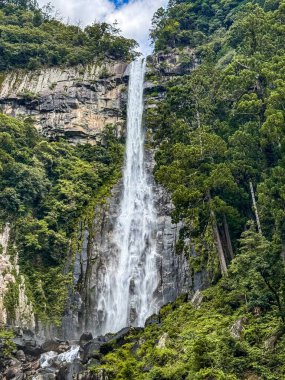 Higashimuro Bölgesi, Wakayama, Japonya 'da Nachi şelalesi