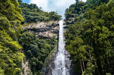 Higashimuro Bölgesi, Wakayama, Japonya 'da Nachi şelalesi