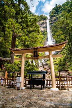 Higashimuro Bölgesi, Wakayama, Japonya 'da Nachi şelalesi