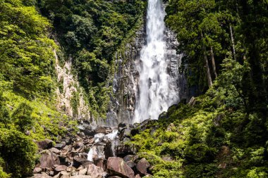 Higashimuro Bölgesi, Wakayama, Japonya 'da Nachi şelalesi