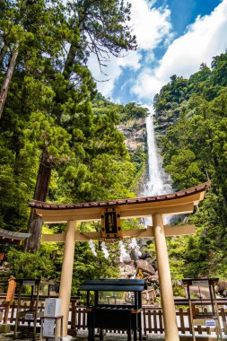 Higashimuro Bölgesi, Wakayama, Japonya 'da Nachi şelalesi