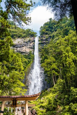 Higashimuro Bölgesi, Wakayama, Japonya 'da Nachi şelalesi