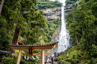 Higashimuro Bölgesi, Wakayama, Japonya 'da Nachi şelalesi