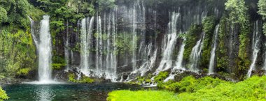 Shiraito Falls, Shiraito no Taki, in Fujinomiya, Shizuoka, Japan. High quality photo clipart