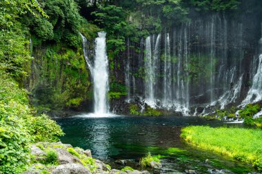 Shiraito Şelalesi, Shiraito no Taki, Fujinomiya, Shizuoka, Japonya 'da. Yüksek kalite fotoğraf