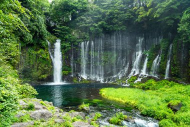 Shiraito Falls, Shiraito no Taki, in Fujinomiya, Shizuoka, Japan. High quality photo clipart