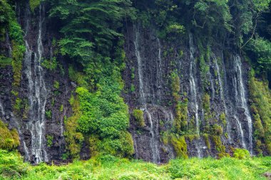 Shiraito Şelalesi, Shiraito no Taki, Fujinomiya, Shizuoka, Japonya 'da. Yüksek kalite fotoğraf