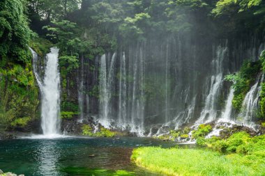 Shiraito Şelalesi, Shiraito no Taki, Fujinomiya, Shizuoka, Japonya 'da. Yüksek kalite fotoğraf