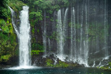 Shiraito Şelalesi, Shiraito no Taki, Fujinomiya, Shizuoka, Japonya 'da. Yüksek kalite fotoğraf