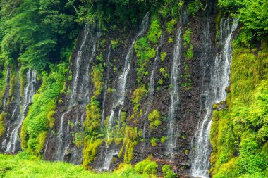 Shiraito Falls, Shiraito no Taki, in Fujinomiya, Shizuoka, Japan. High quality photo clipart