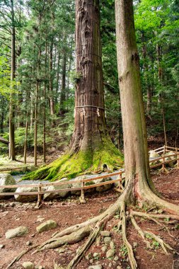 Kawaguchi Asama Tapınağı Fujikawaguchiko, Minamitsuru Bölgesi, Yamanashi, Japonya. Yüksek kalite fotoğraf
