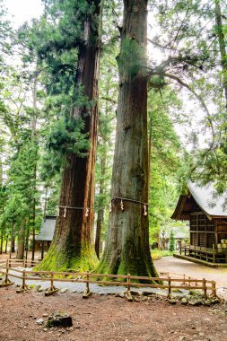 Kawaguchi Asama Tapınağı Fujikawaguchiko, Minamitsuru Bölgesi, Yamanashi, Japonya. Yüksek kalite fotoğraf